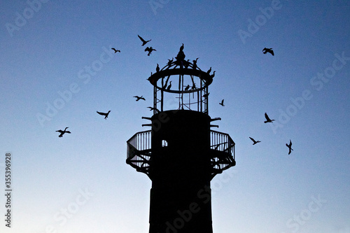 Lighthouse along the Gower coastline at night with Cormorants flying in to roost - UK