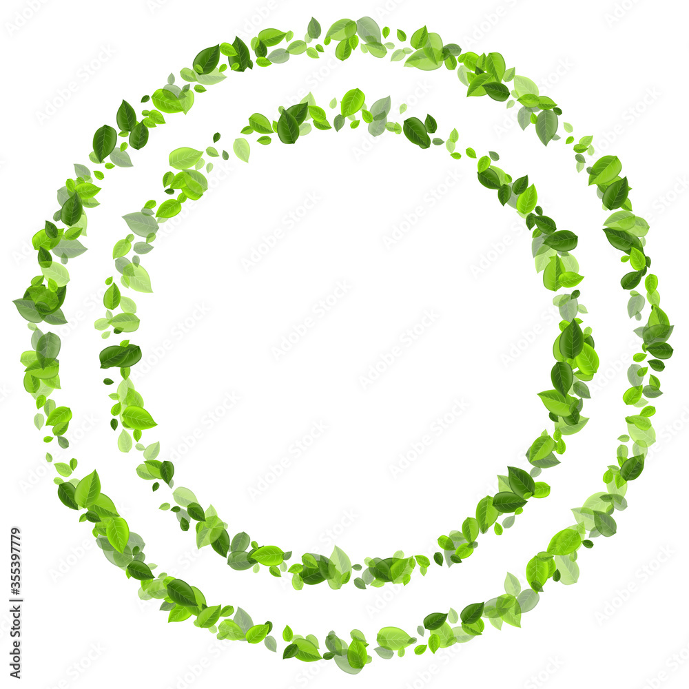 Olive Leaf Nature Vector Banner. Transparent Olive Leaf Nature Vector Banner. Transparent