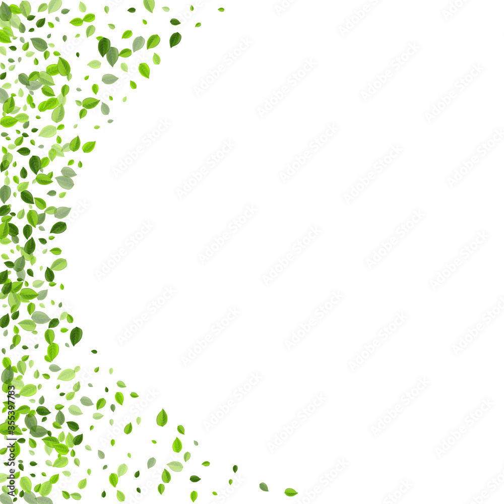 Swamp Leaf Transparent Vector Plant. Herbal 