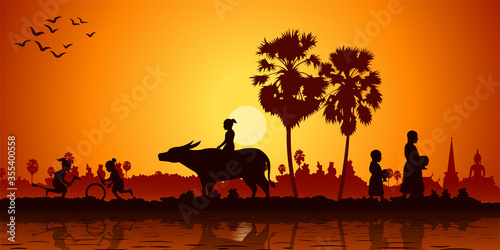 Country life of Asia children play banana horse ride buffalo while monk receivex food.  Sunrise time silhouette style