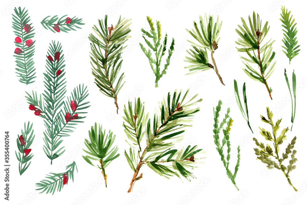 Naklejka premium Pine branches watercolor winter decor. Christmas tree. Forest Plant Sketch
