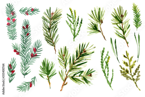 Pine branches watercolor winter decor. Christmas tree. Forest Plant Sketch