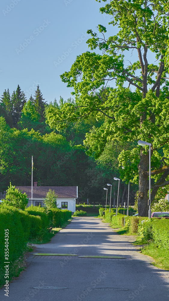 Tree over the road and house, Karlskoga, Sweden