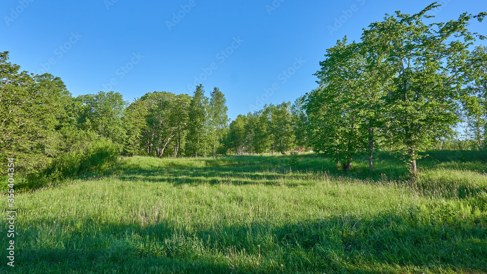 Obraz premium Sweden, Karlskoga, landscape with green trees blue sky, spring. 