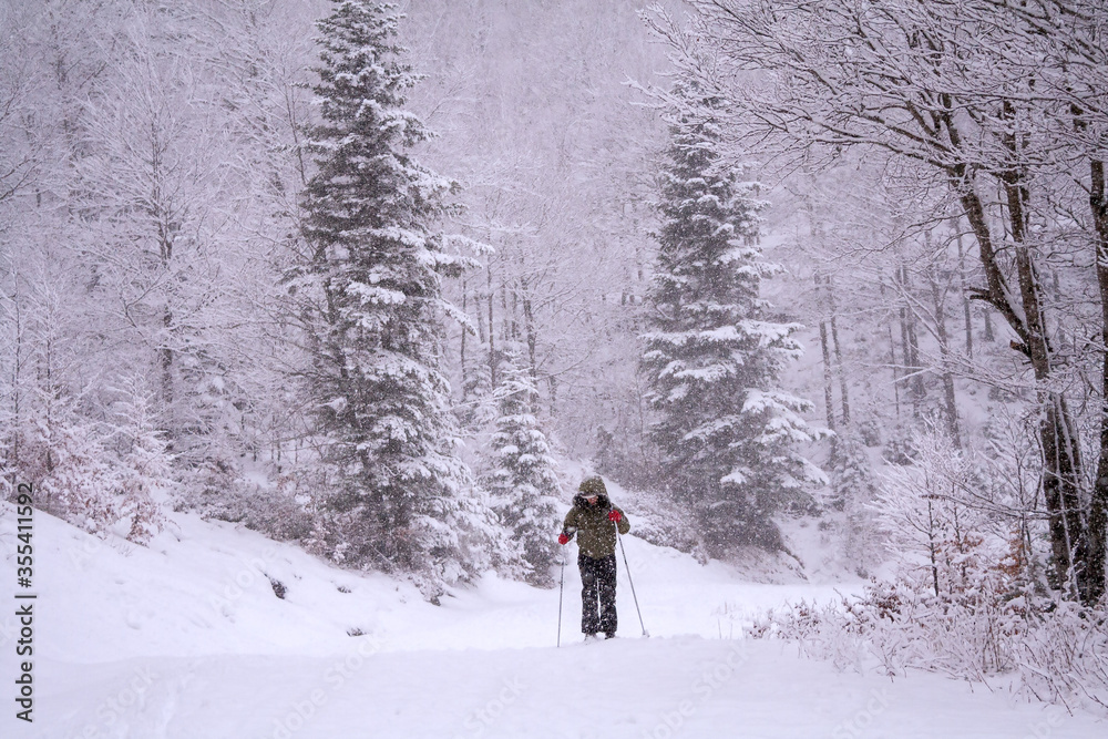 Somport, France. Female cross country skiier in a winter landscape.