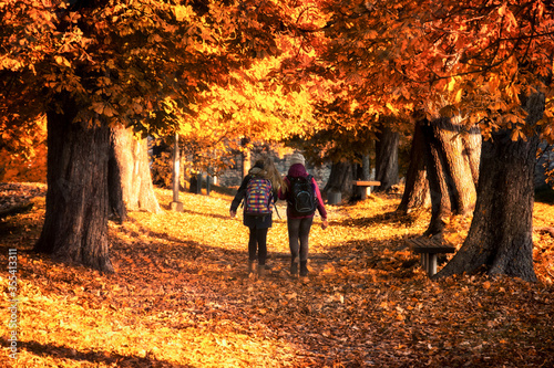 two girls and golden autumn