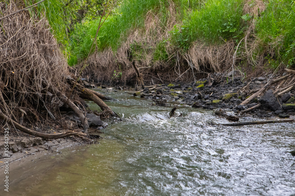 A shallow forest river with a wild view. Forest small river wild landscape. Wild river stream branches. Forest stream threshold view. A shallow forest river with a wild view. Forest small river wild landscape. Wild river stream branches. Forest stream threshold view.