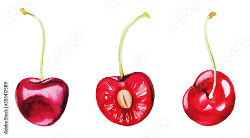 Three red cherries, the watercolor berry set,