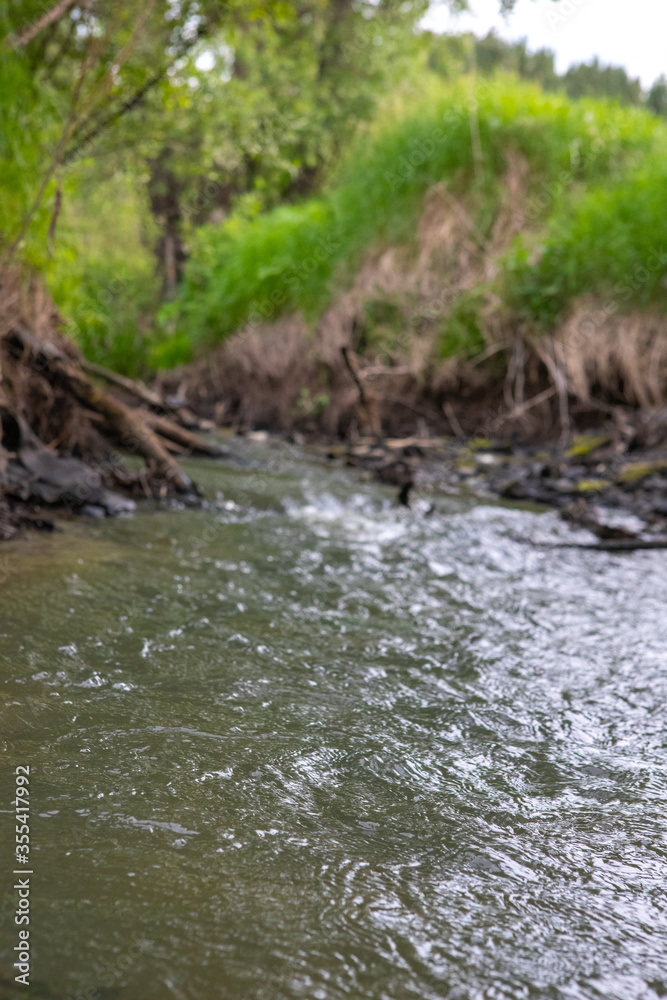 A shallow forest river with a wild view. Forest small river wild landscape. Wild river stream branches. Forest stream threshold view. A shallow forest river with a wild view. Forest small river wild landscape. Wild river stream branches. Forest stream threshold view.