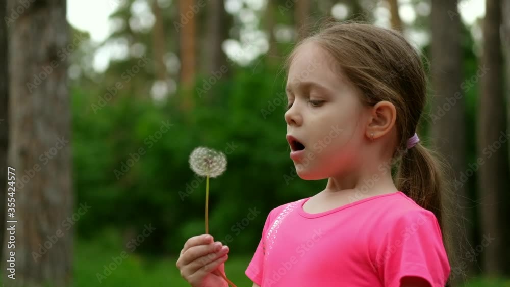 Child blows on a dandelion in a meadow. Little girl in nature in slow motion. Child blows on a dandelion in a meadow. Little girl in nature in slow motion.
