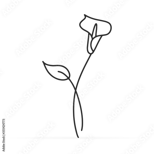 Valokuvatapetti Doodle calla lilies icon isolated on white