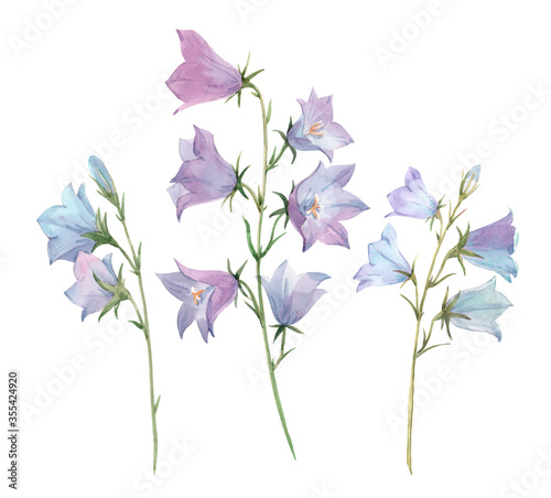 Beautiful image with watercolor gentle bluebell flowers. Stock illustration. photo