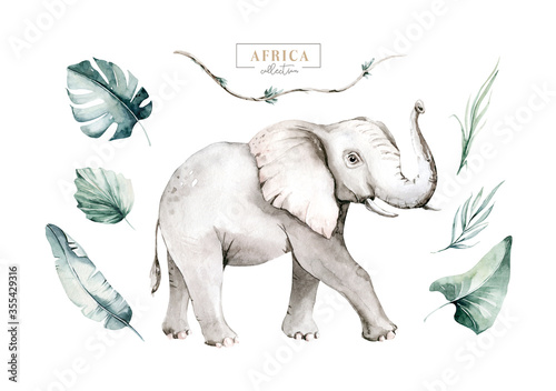 Watercolor African elephant animal isolated on white background. Savannah wildlife cartoon zoo safari poster. Jungle decoration