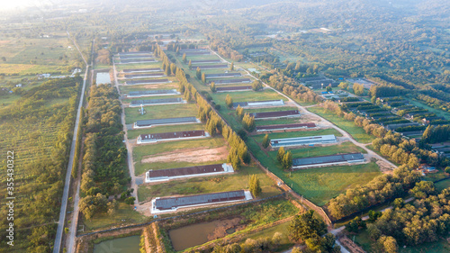 Asia Country Farmland With sunrise sky from drone aerial view with animal housing infrastructure.