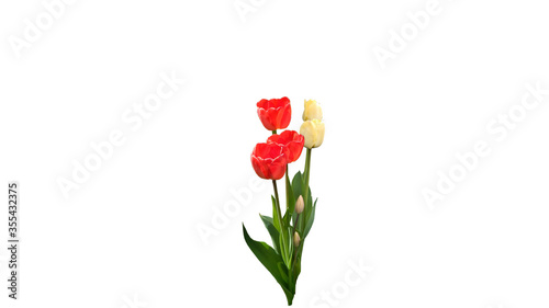 bouquet of red and yellow tulips