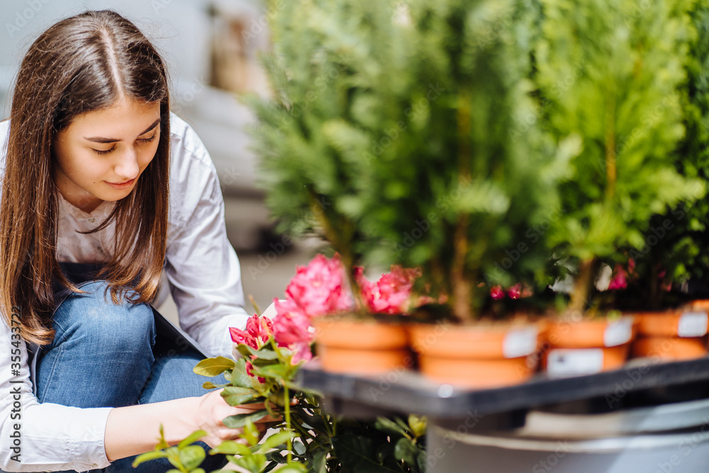 Hispanic Young Female Owner Of Floral Shop Working In Garden Center Greenhouse Holding Tray Of Seedlings In Pots. Hispanic Young Female Owner Of Floral Shop Working In Garden Center Greenhouse Holding Tray Of Seedlings In Pots.
