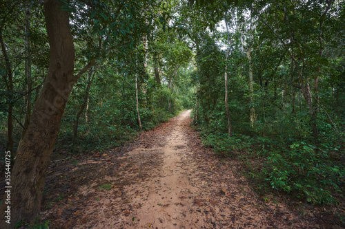 Pathway in the jungle at Sambor Prei Kuk archaeological site in Cambodia
