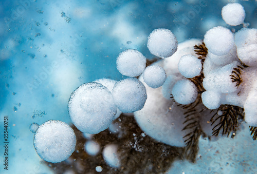 Bubbles of gas frozen in ice of Baikal lake along with sea plants
