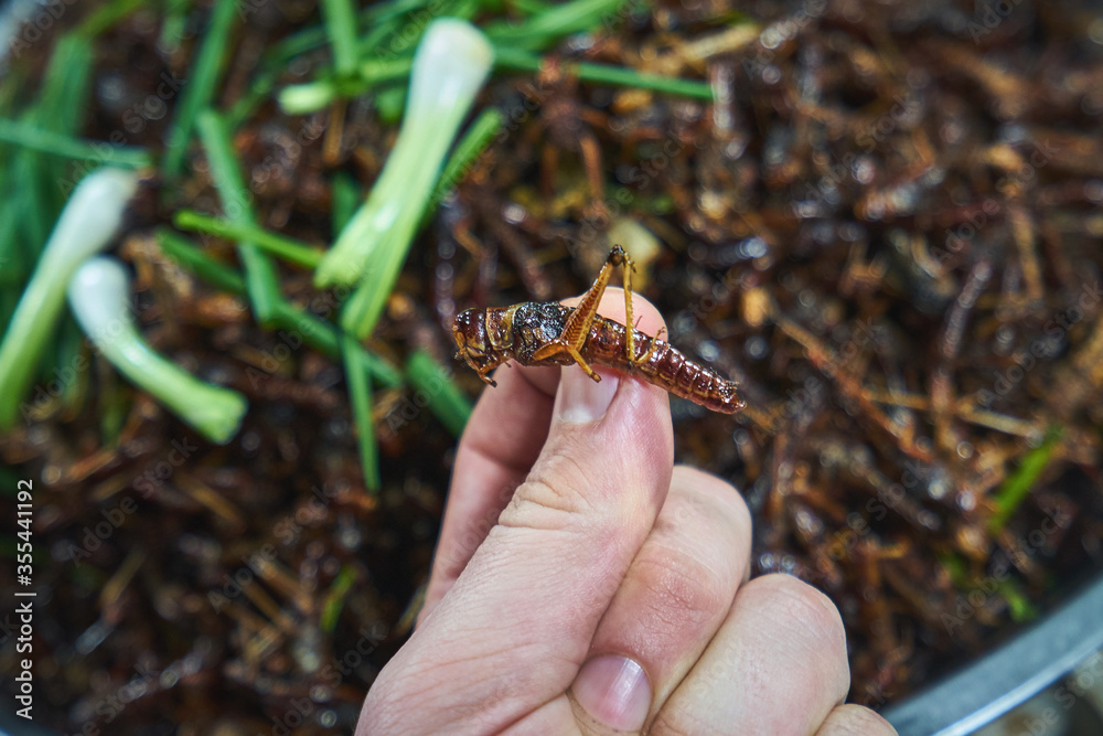 Fototapeta premium Fried grasshoper at the night food market in Cambodia