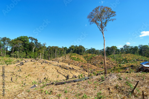 Mountain rice fields in the hills of Cambodia