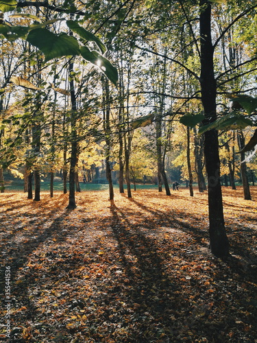 Autumn park