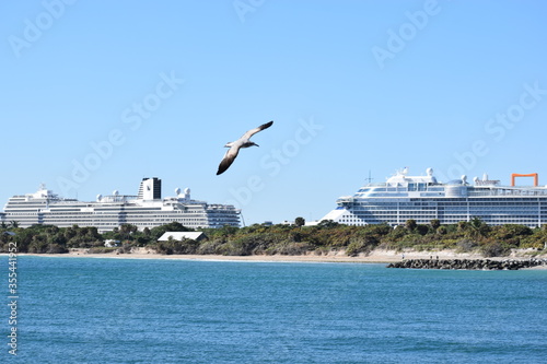view of Port Everglades