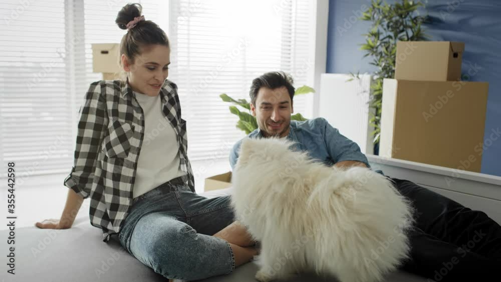 Handheld video of couple in new house with the dog. Shot with RED helium camera in 8K Handheld video of couple in new house with the dog. Shot with RED helium camera in 8K