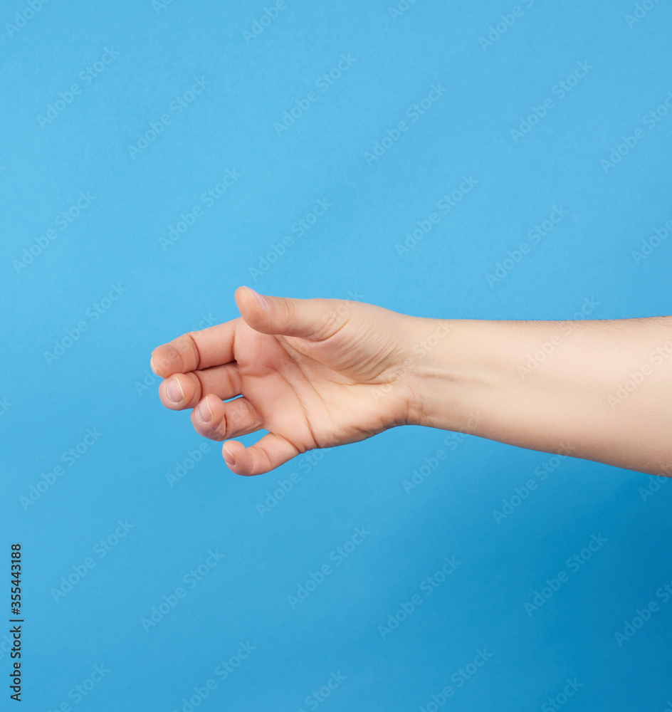 female hand holds a conditional subject on a blue background female hand holds a conditional subject on a blue background