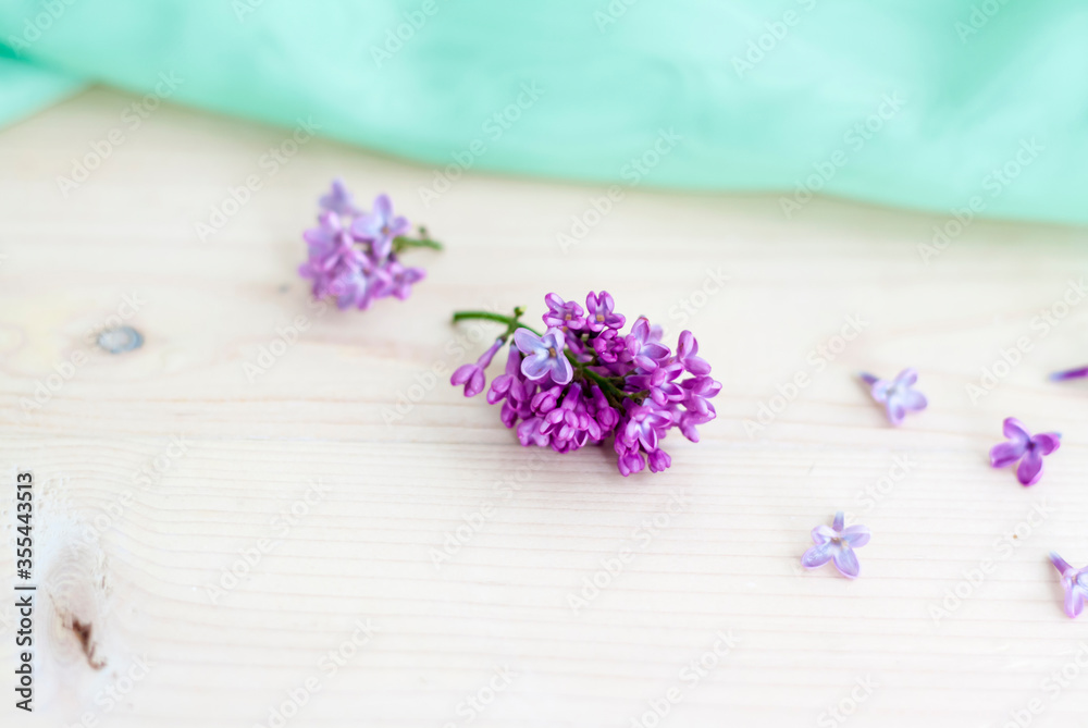 Spring lightness and tenderness. The freshness of the morning. Spring lightness and tenderness. The freshness of the morning.
