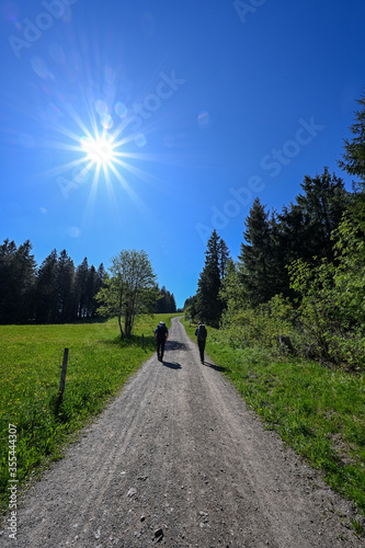 Two hikers on a path in the Black Forest on a sunny day