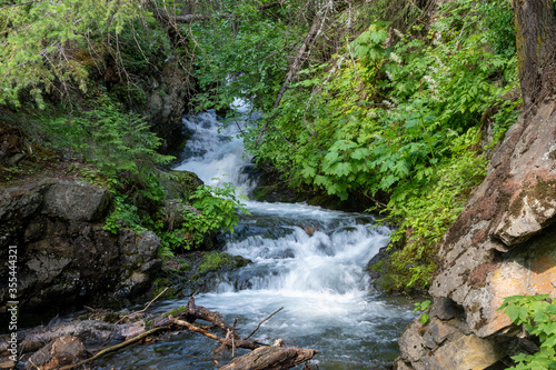 Mountain stream with green trees and rushing water near Anchorage, Alaska