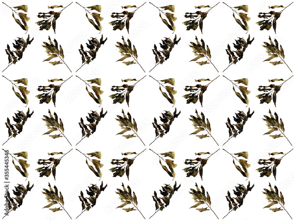 Fototapeta premium Leaves or Foliage pattern with a white background. Beautiful leaf pattern.