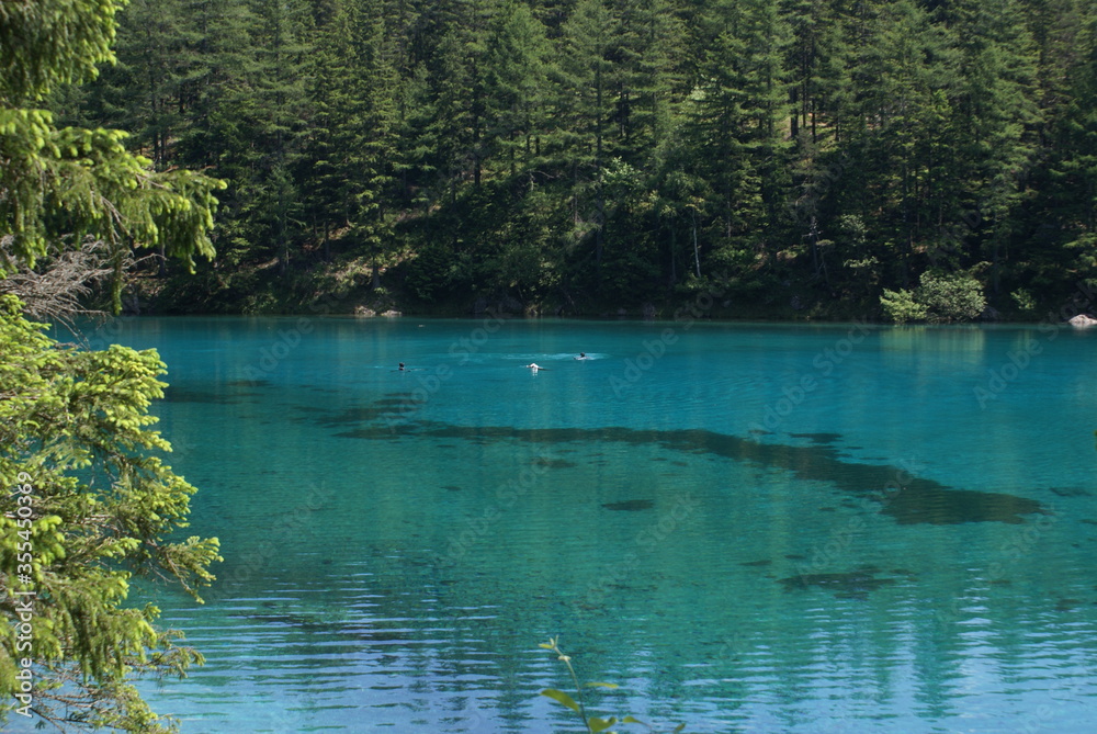 Grüner see  (green lake) - Alps of Austria 

Diving in cold water