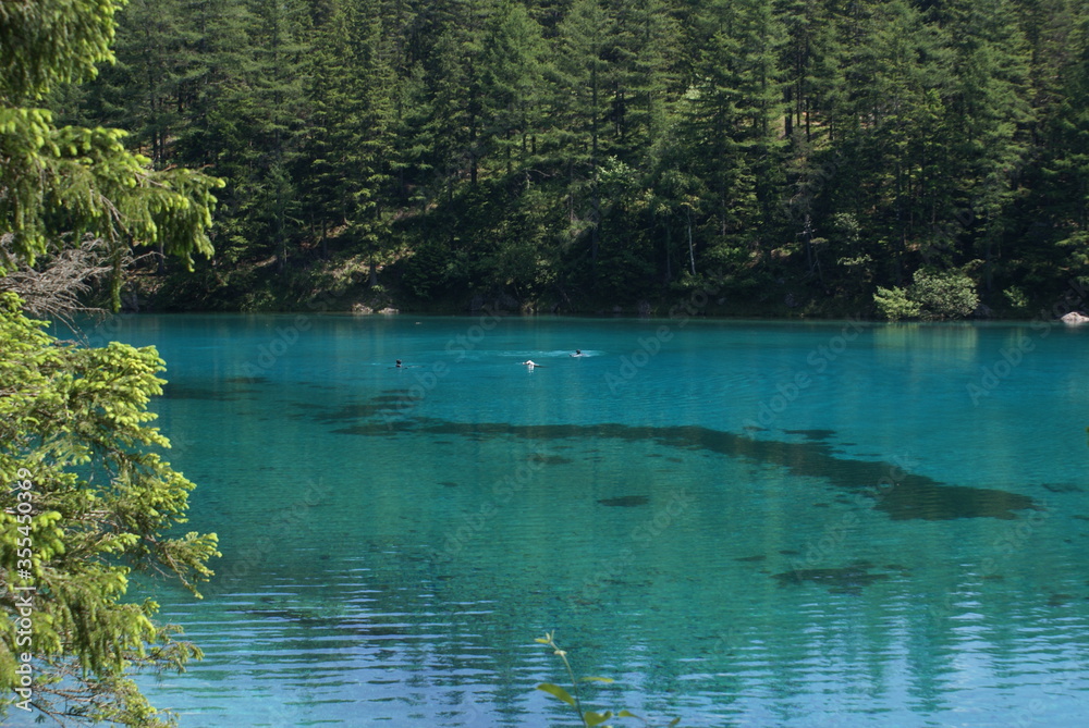 Grüner see (green lake) - Alps of Austria
Diving in cold water Grüner see (green lake) - Alps of Austria
Diving in cold water