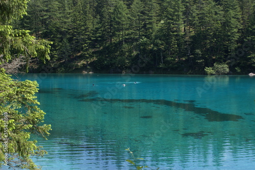 Grüner see (green lake) - Alps of AustriaDiving in cold water