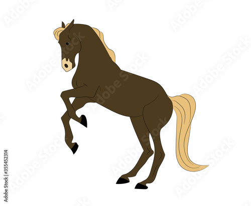 horse vector illustration, color illustration, vector