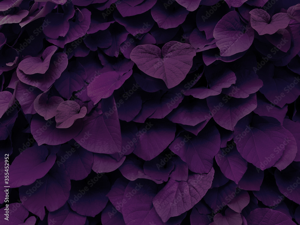 Naklejka premium Purple background of ivy leaves growing on the wall