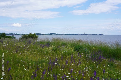 Blühende Wiese am Steilufer der Ostsee bei Sierkdorf mit Blick auf Neustadt in Holstein