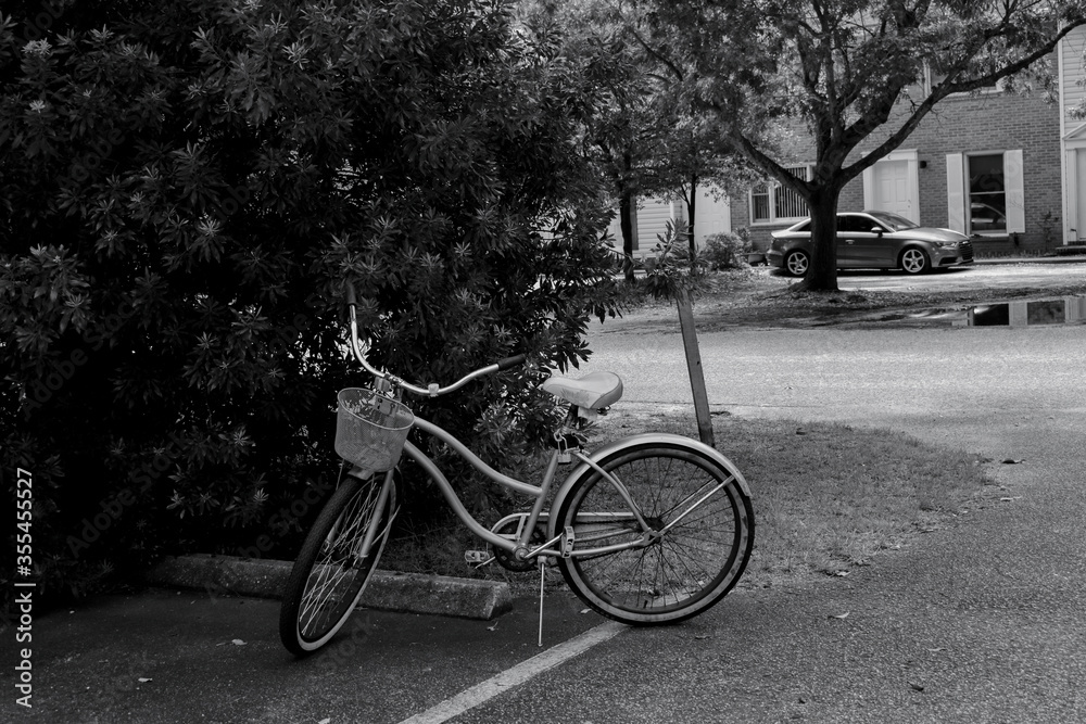 Fototapeta premium Bicycle alone