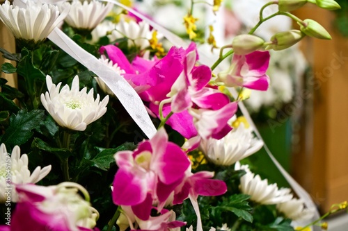 Pink and white flowers.