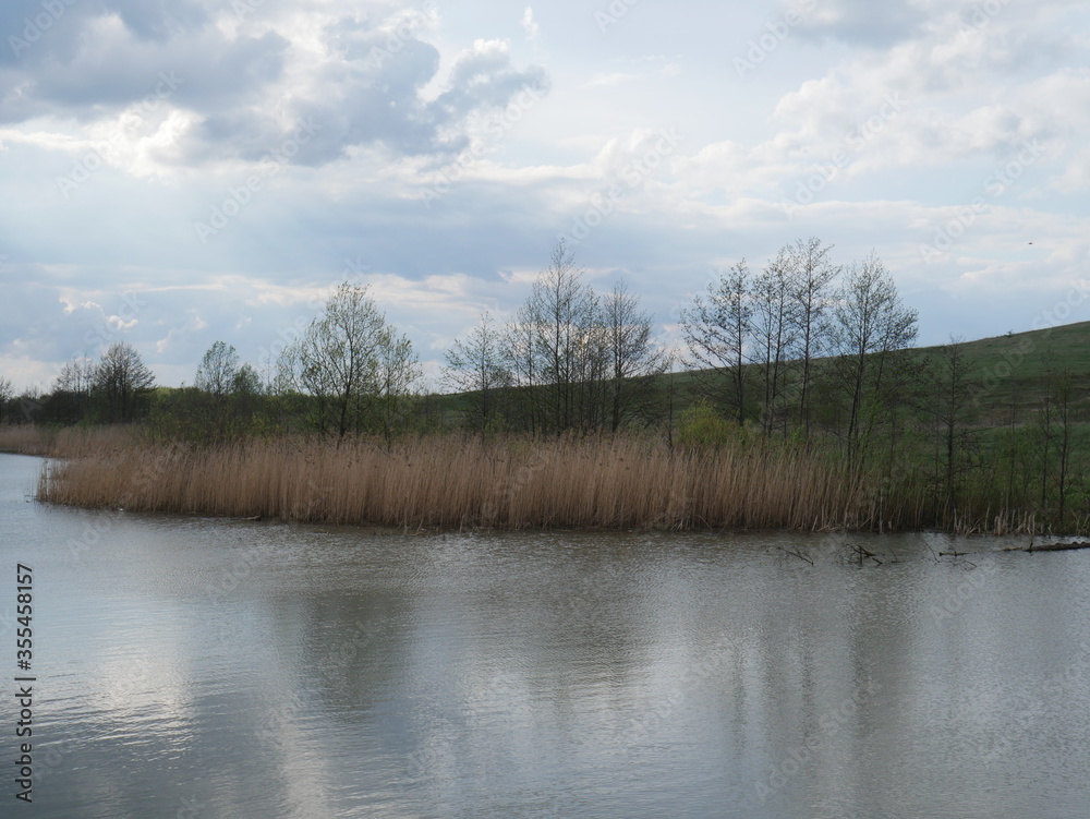 Fototapeta premium lake in the forest