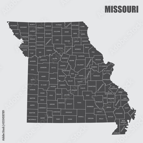 Missouri County Map photo