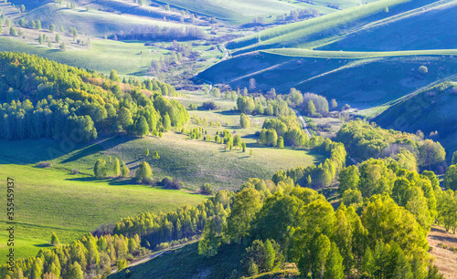 Green meadows and forests. Spring, evening light. Hilly countryside.