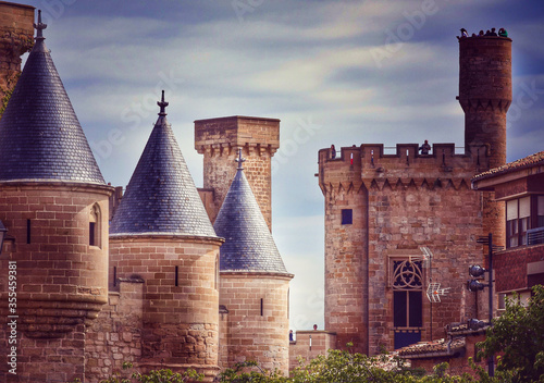 old castle in Navarra  photo
