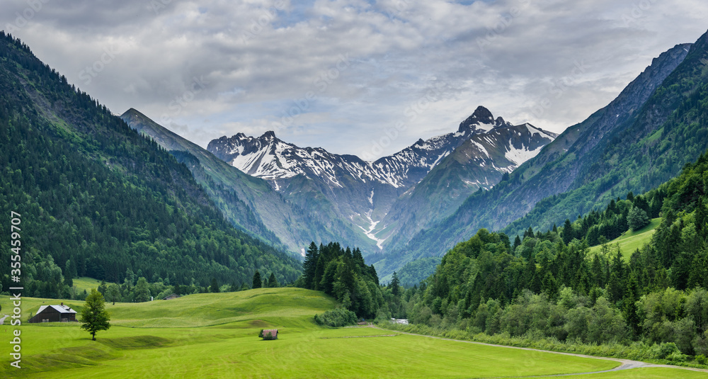 Lush green valley surrounded by alps near Oberstdorf, Germany