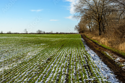 field