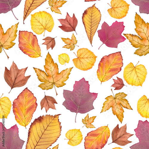 Seamless autumn pattern with multicolored leaf collection.