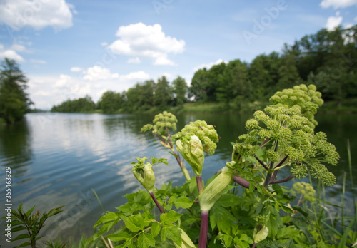 Summer walk along river side.