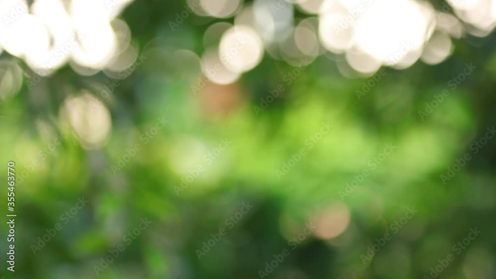 The movement of Beautiful green background abstract light gradient bokeh natural The movement of Beautiful green background abstract light gradient bokeh natural