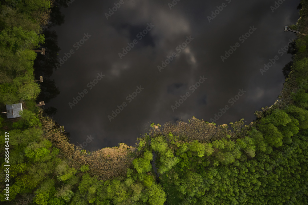 Aerial view of a forest lake. shoreline of a wild lake, surrounded by green trees, seen from a drone